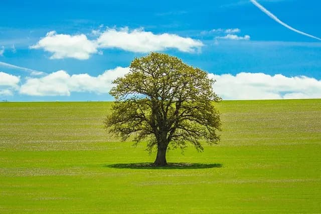Cómo Ahorrar Inteligentemente: Estrategias Clave para el Futuro